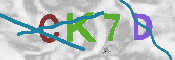 CAPTCHA afbeelding