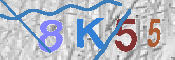 CAPTCHA afbeelding