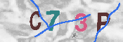 CAPTCHA afbeelding