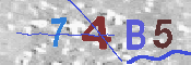 CAPTCHA afbeelding