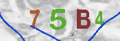 CAPTCHA afbeelding