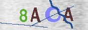 CAPTCHA afbeelding