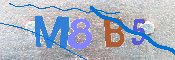 CAPTCHA afbeelding