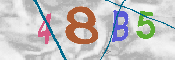 CAPTCHA afbeelding