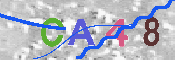 CAPTCHA afbeelding